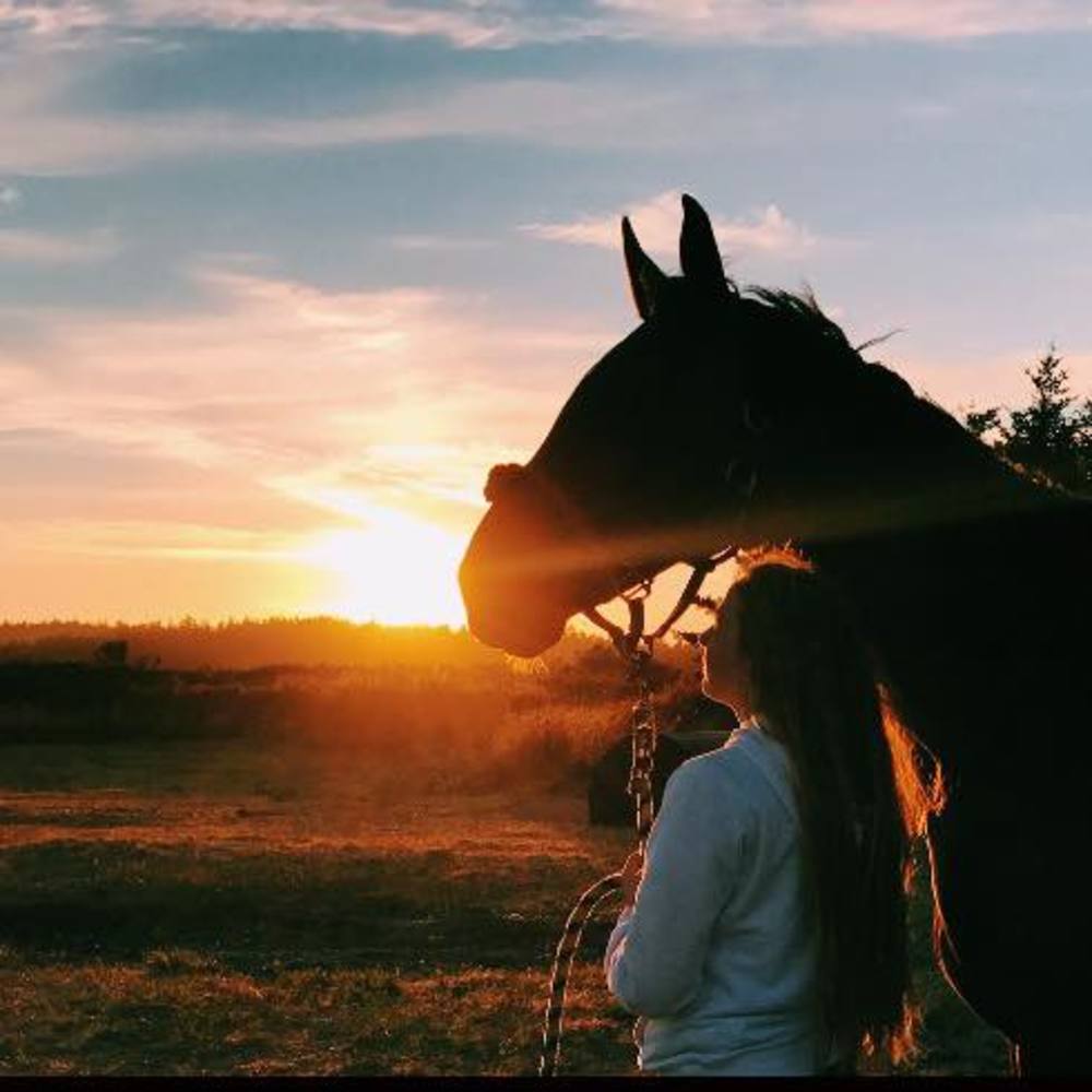 Meet your Posher, Maisy